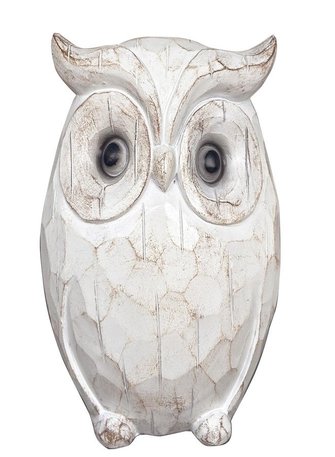 QIAOIDEA Rustic Carved Owl Figurine - Chubby Owl Decor for Home and Office - Shelf, Desktop, Cabinet, Fireplace Mantel - Image 1